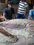 Workers Carrying Rawhide Of Sacrificial Cattle After Eid-ul-adha