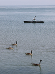 Daily Life Along Lake Ontario