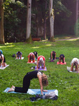 Outdoor Yoga In Poland