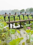 International Day of Yoga.