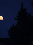 Full Moon In Gaza, Palestine