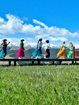 Grassland Tour in Zhangye.