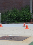 49-year-old Man Shot And Killed Outside At Daniel J. Corkery Elementary School In Chicago Illinois