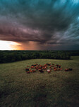 Strong Storms Move Across Wisconsin