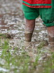 Monsoon Rain In Nepal