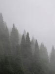 Singalila National Park Landscapes