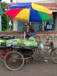 Daily Life In Kolkata