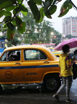 Monsoon Rain In India