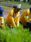 Green Challenge 2024 In Mexico City