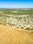 Taklimakan Desert Ecology.