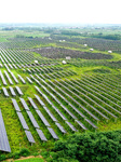 A Photovoltaic Power Station in Chaohu.