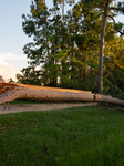 Downed Power Lines And Trees In Houston After Hurricane Beryl