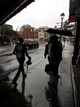 Remnants Of Hurricane Beryl Drop Rain Showers In Brampton, Ontario, July 10 And 11, 2024.