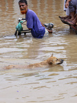 Waterlogging In Dhaka