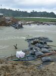 Flood In Assam