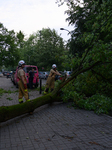 Overnight Storm Hits Warsaw And Causes Damage Across The Country.