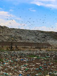 Unscientific Waste Turns Wetland Into Wasteland, Raising Health Concerns