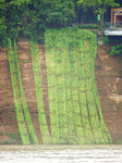 Landslide in Yichang.