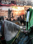 Muslims Pay Their Respects In Karbala, Iraq