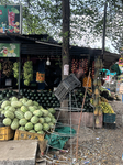 Daily Life In Punalur, Kerala, India