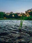 Back To Back Derechos Cause Flooding In Wisconsin