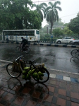 Monsoon In India