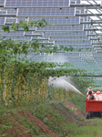 A Photovoltaic Plantation in Lianyungang.