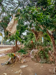 Typhoon Gaemi Aftermath In The Philippines