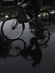 Rainfall In Mumbai 