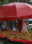 Rainfall In Srinagar