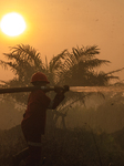 Firefighters Battle Peatland Fires In Indonesia