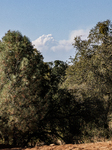 The Park Fire’s Forward Movement Is Seen From North Table Mountain Ecological Reserve, Near Oroville, Calif., On Sunday, July 28, 2024. 