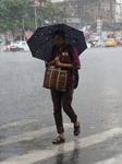 India's Monsoon Rain