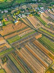 Wheat Fields in Zhangye.