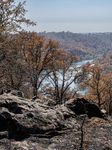 Ken Elmore Is Seen On His Property Following The Aftermath Of The Thompson Fire, In Oroville