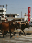 Daily Life In Dhampur