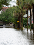 Tropical Storm Debby Leaves Inches Of Rain In Charleston, SC