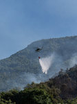 Large Forest Fire In Naples, Monte Pendolo Burns In Gragnano