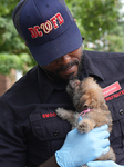 Washington DC Fire Department Rescues Dogs And Puppies From A Burning Building