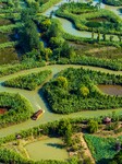 Hongze Lake Wetland Maze in Huai 'an.