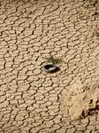 Drought In Catalonia