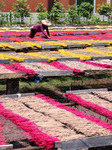 A Fragrance Making Enterprise in Quanzhou.