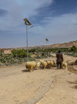 Rural Areas And Water Stress In Tunisia