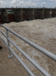 Flood In Thailand