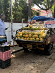 Daily Life In Thiruvananthapuram