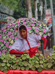 Rainfall In Kashmir