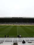 Newcastle United FC v Tottenham Hotspur FC - Premier League