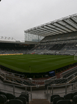 Newcastle United FC v Tottenham Hotspur FC - Premier League