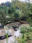 Storm And Flooding Of Ponte Lambro In Milan