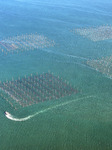 Coastal Aquaculture Area in Lianyungang.